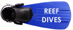 reef_dives