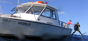 Belagio jumping off the boat